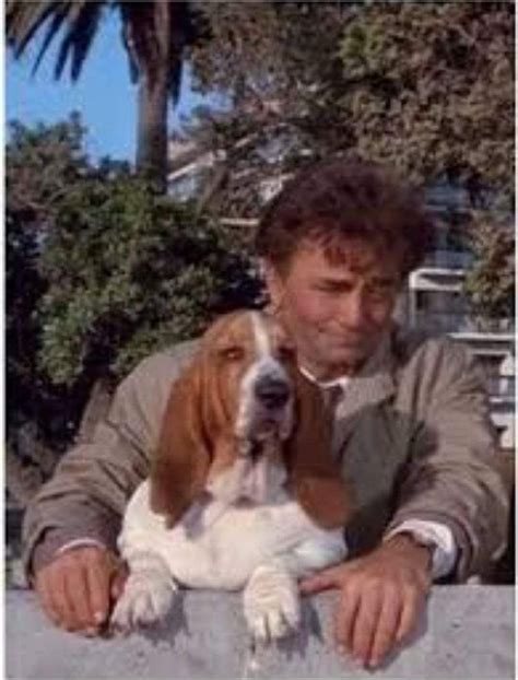 Kung Fu Columbo Tv Series Pet Dogs Dogs And Puppies Columbo Peter