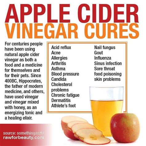 Benefits Of Apple Cider Vinegar Food Delectable And Edible Pinte