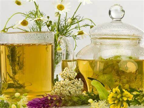 Какие травы помогут сбросить вес Названы травы, которые помогут сбросить лишний вес: читать на Golos.ua Названы травы, которые помогут сбросить лишний вес: читать на Golos.ua Какие травы помогут сбросить вес