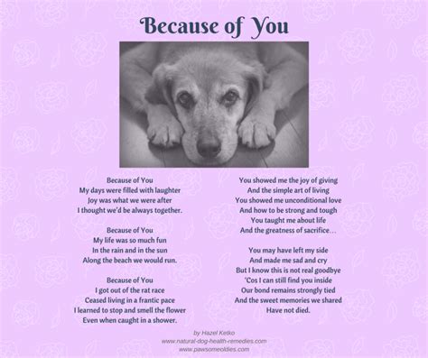 Every person has to die one day and it's the bitter truth of life. Pet Loss Poems - Celebrating the Love and Lives of Our Dogs