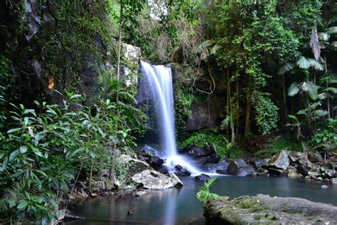 Mt Tamborine Waterfall Queensland Australia Photo By Wayne Rogers