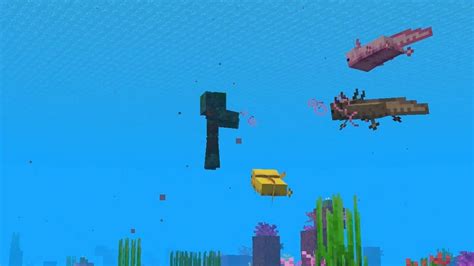 Minecraft Axolotl Wie Zähmt Man Axolotl In Minecraft