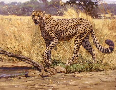 Pin By Ricarpotemar On Wildlife Wildlife Paintings African Animal