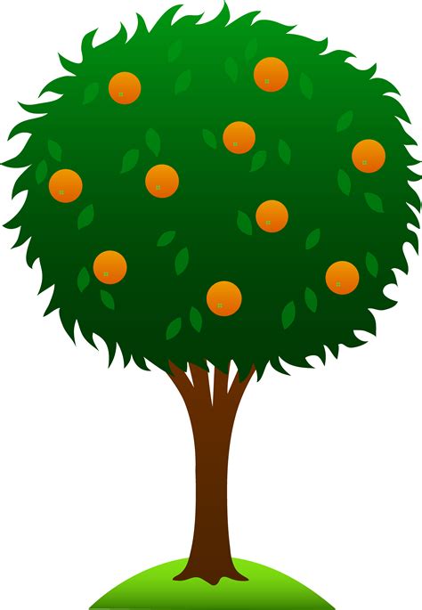 Clip Art Orange Tree Png Clipart