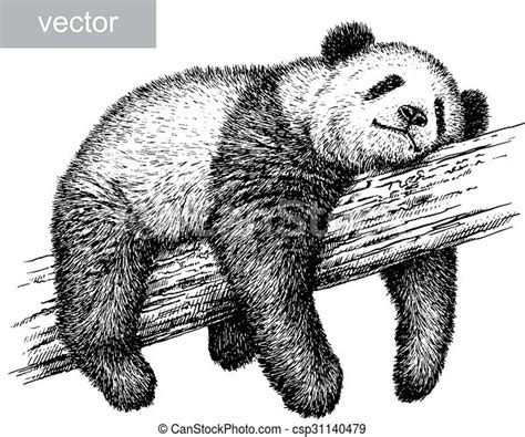 Engrave Panda Bear Illustration Engrave Isolated Panda Bear Vector
