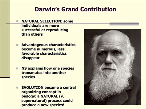 Ppt Evolution Overview Charles Darwin Powerpoint Presentation Free