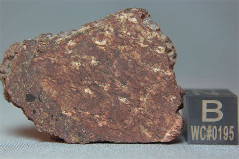 Nwa 8669 Ureilite Meteorite A Irving And S Kuehner Uws Coarse