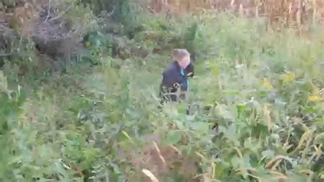 Amazing Bigfoot Sighting In Ohio Youtube