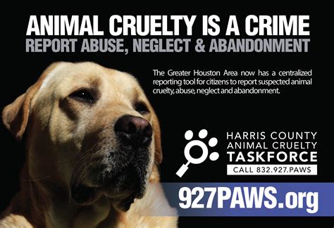 Cruelty - Houston Humane Society | Animal Shelter | Adopt a Pet | Pet