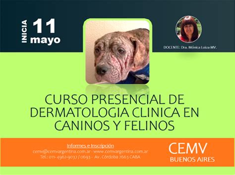 Curso Presencial De Dermatología Clínica En Caninos Y Felinos Cemv