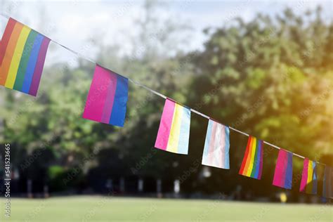 Lgbtq Flags Were Hung In The Middle Of The Park To Decorate Respect