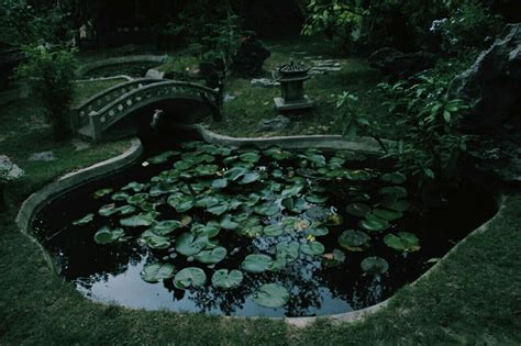 A Pond Filled With Water Lilies Next To A Stone Bridge