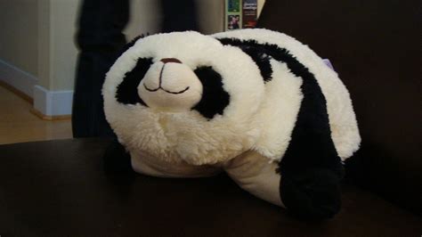 When I Read That Percy Had A Panda Pillow Pet Just Like Me I Was Like