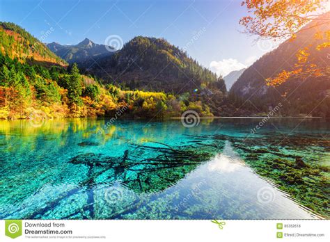 Colorful Woods Reflected In Azure Water Of The Five Flower Lake Stock