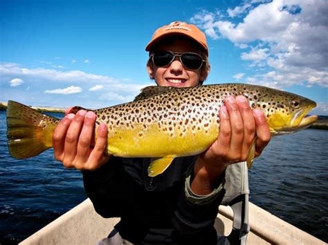Fall Brown Trout 2 Photo By Toby Swank Flickr