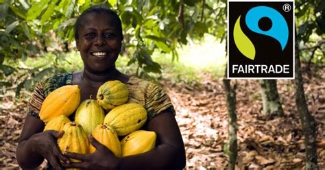 Was Ist Eigentlich Fair Trade Gemeinsam FÜr Afrika