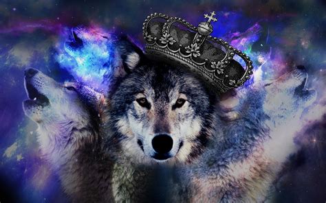 If you see some wolf hd desktop wallpapers you'd like to use, just click on the image to download to your desktop or mobile devices. Galaxy Wolf Wallpaper (69+ images)