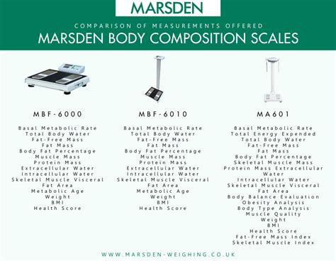 Understanding Body Composition Measurements Marsden Weighing