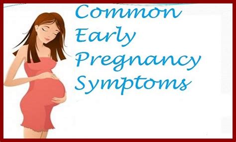 News Habour All Pregnancy Early Signs And Symptoms Women Should Note