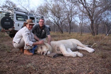 Global White Lion Protection Trust Linda Tucker