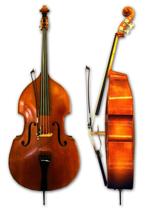Musical Instrumentsstring Instruments Wikiversity