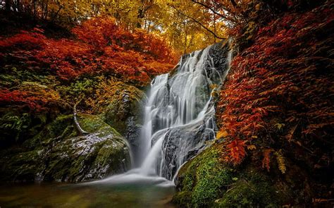 Hd Wallpaper Forest Water Cascades Leaves Beautiful Waterfall