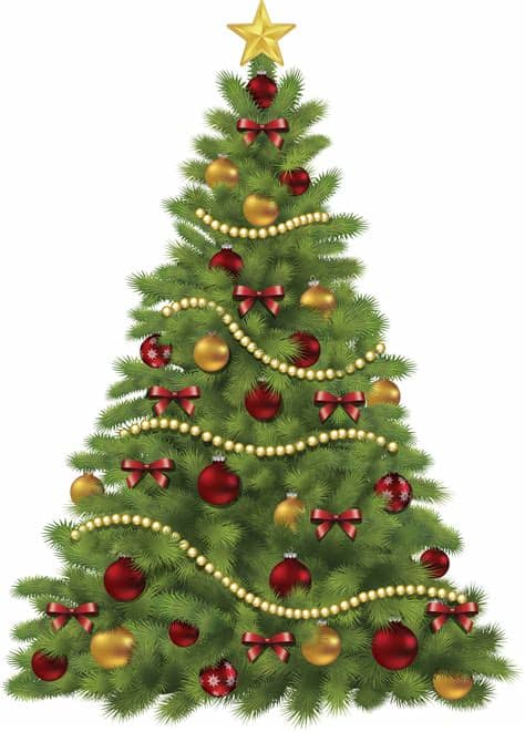 Citypng provides millions of free high quality transparent images. Christmas Tree Clipart PNG Image - PurePNG | Free ...