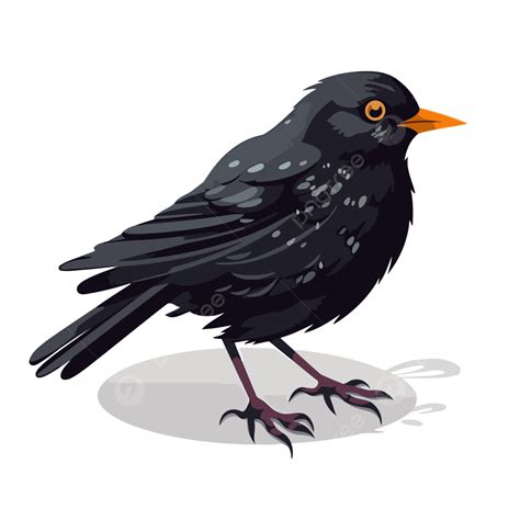 Blackbird Clipart Burung Hitam Sedang Duduk Di Atas Kartun Latar
