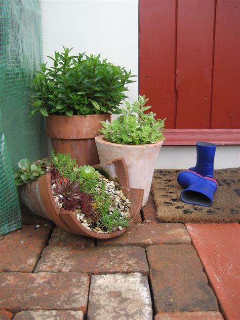 Broken Terracotta Pot Alpine Planter Broken Pot Garden Plants