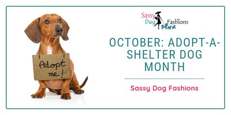 October Adopt A Shelter Dog Month Sassy Dog Fashions