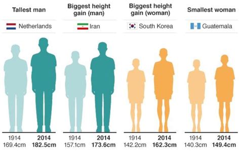 Average Height For Women Tall Guys Average Height For Women Women