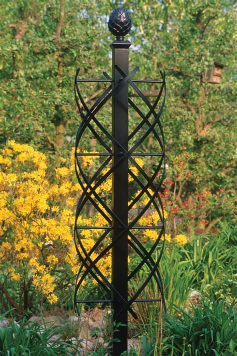 Climbing Rose Supports Make Fabulous Features For Smaller Gardens