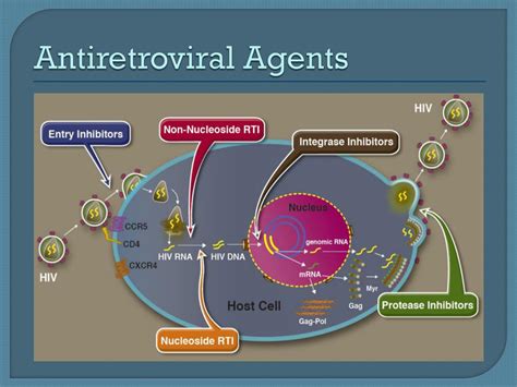 Ppt Initiating Antiretroviral Therapy In Hiv Infected Patients