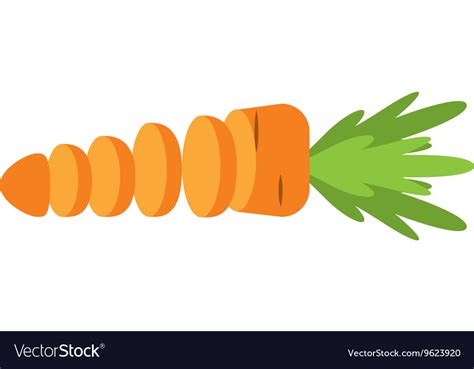 Cut Vegetable Carrot Isolated Icon Design Vector Image