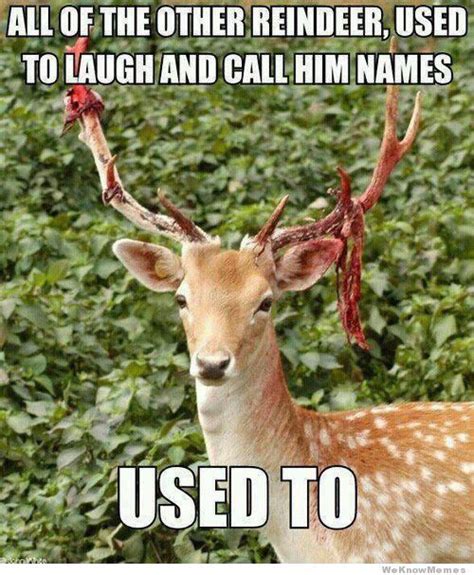 10 Images About Deer Memes On Pinterest Haha Deer And Zombies