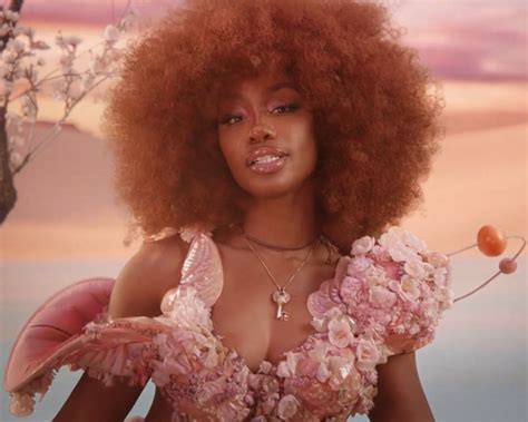 pretty woman divas sza singer pretty people beautiful people curly hair styles natural