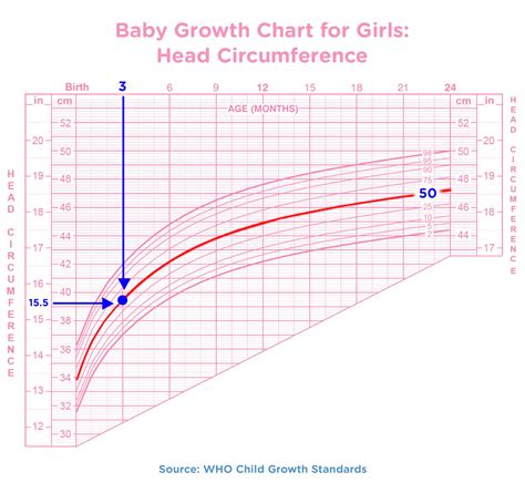 How to Read a Baby Growth Chart | Pampers