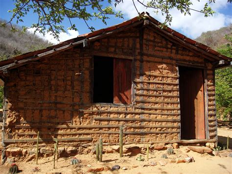 Check spelling or type a new query. How to Wattle & Daub » IzReaL