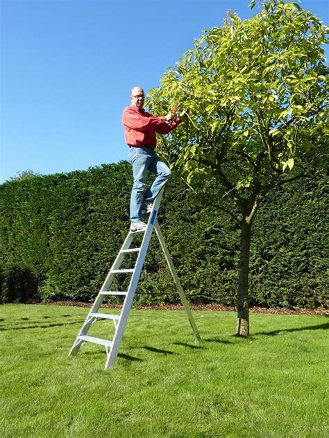 Which Ladder Is Best For Tree Trimming Sunset Ladder And Scaffold Blog