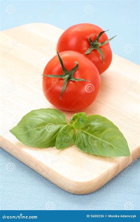 Tomatoes And Basil Stock Photo Image Of Lifestyle Nutrition 5600236