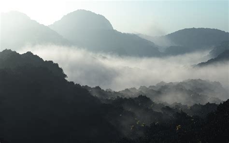 Landscapes Mountains Trees Jungle Forest Fog Mist Sunlight Wallpaper
