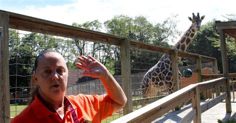 Plumpton Park Zoo To Pursue Intl Accreditation Local News