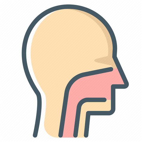 Face Otolaryngology Throat Icon Download On Iconfinder