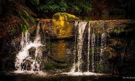 Wallpaper Vancouver Canada Stanely Park Nature Waterfalls Parks