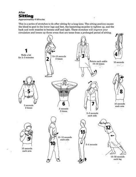 Printable Stretching Exercises For Seniors
