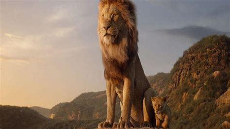 Regarder Le Roi Lion 2019 Vf Regarder Le Roi Lion Complet Streaming