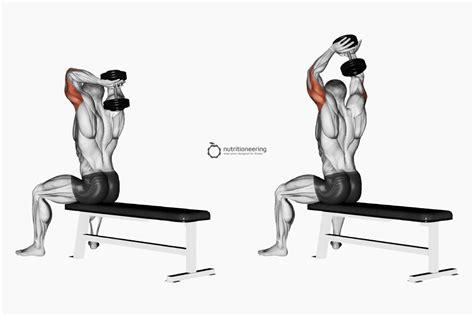 Dumbbell French Press Exercise Guide Standing Or Seated