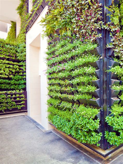 About Gro Wall Vertical Garden System Decorate The Wall Easily