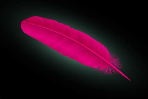 Pink Feather Meaning And Symbolism Color Meanings