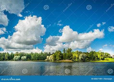 Beautiful Russian Landscape With Willows Stock Image Image Of Beauty
